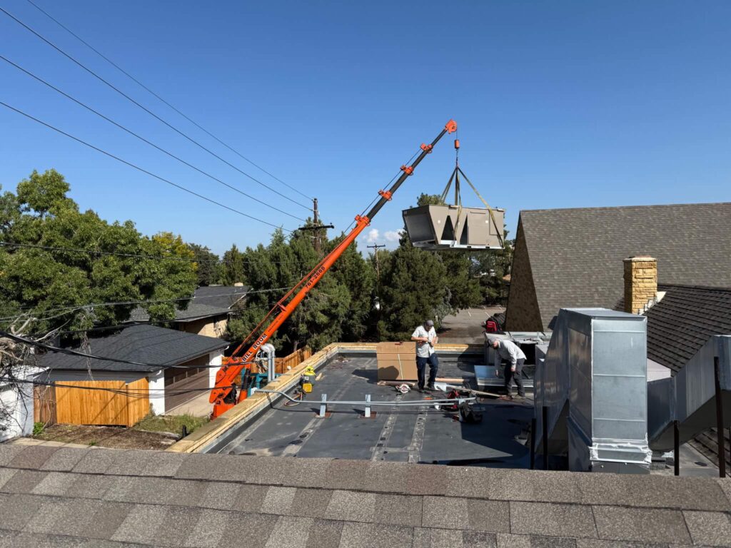 1463191198742870747 1