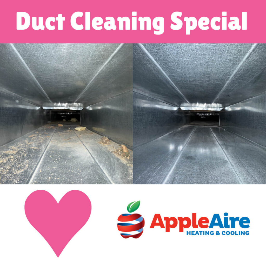 Pink background with white text that reads duct cleaning special. Picture of a dirty duct next to a clean duct with a pink heart and apple aire logo.